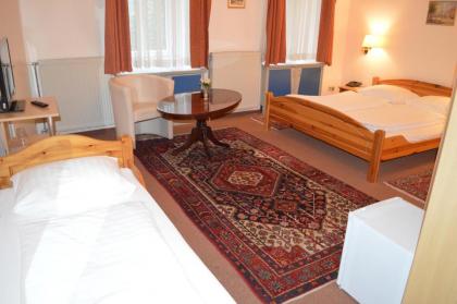 Pension Walzerstadt - image 17