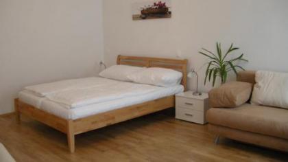 Appartements CHE - image 13