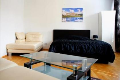 Prestige Vienna Apartment - image 3