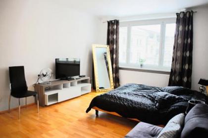 Prestige Vienna Apartment - image 5