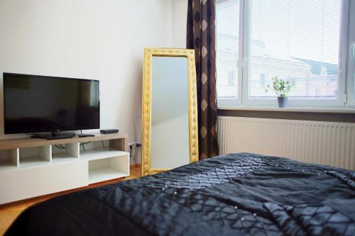 Prestige Vienna Apartment - image 7