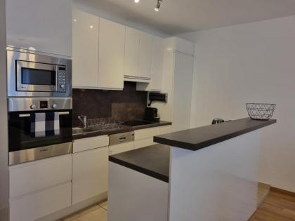 Elegant Vienna Apartment - image 11
