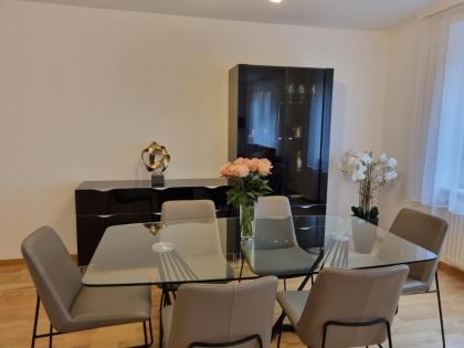 Elegant Vienna Apartment - image 12