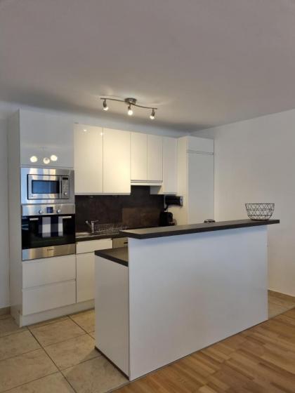 Elegant Vienna Apartment - image 2