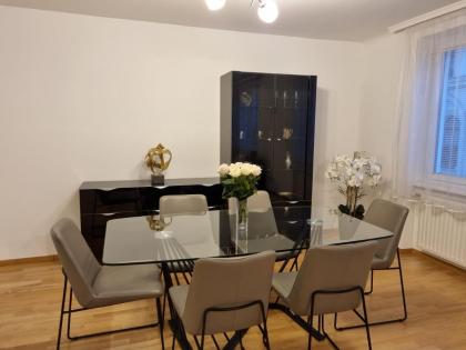 Elegant Vienna Apartment - image 3