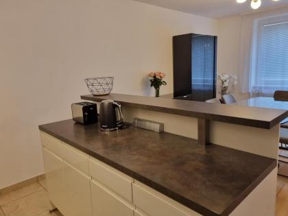 Elegant Vienna Apartment - image 4