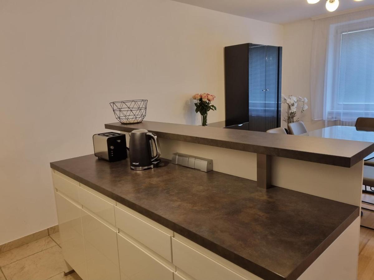 Elegant Vienna Apartment - image 4