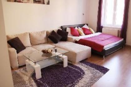 CheckVienna – Apartment Dieselgasse - image 8