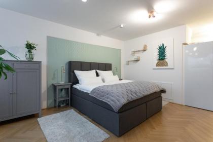?NEW?Luxus Studio?NETFLIX/BOXSPRING ?10min Centre?