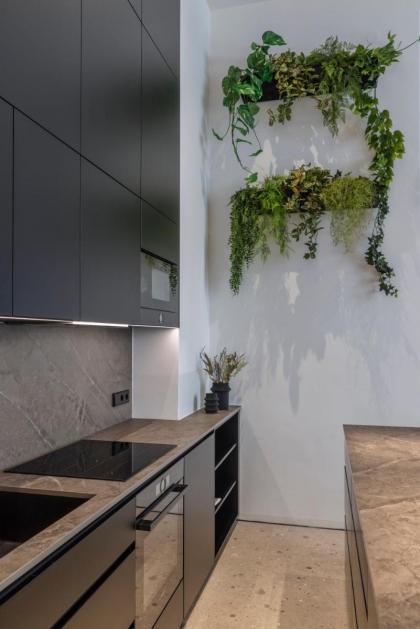 City Center Apartment Telegraph - image 9